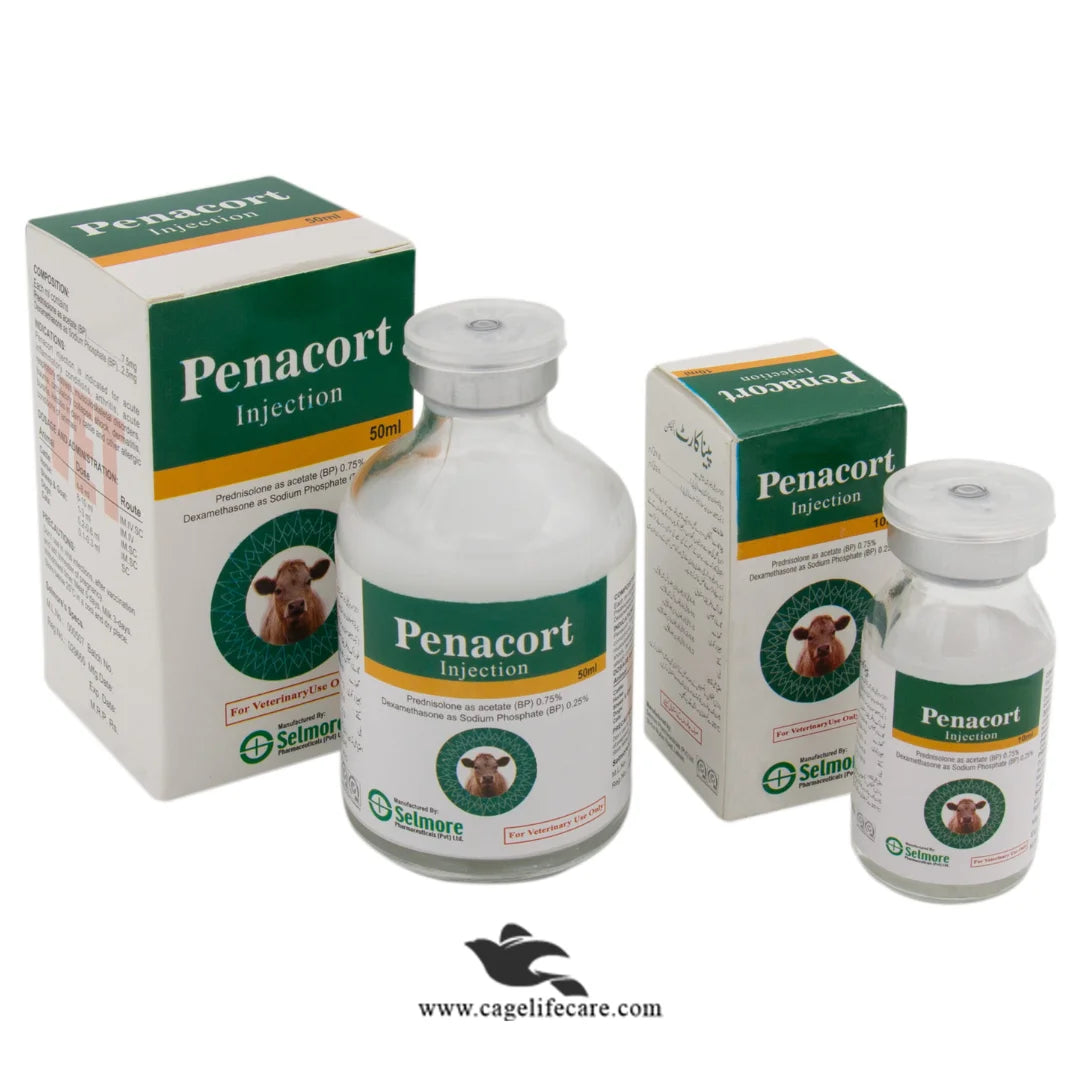 Penacort Injection – Anti-inflammatory, Anti-allergic & Anti-toxic Steroid Therapy for Livestock