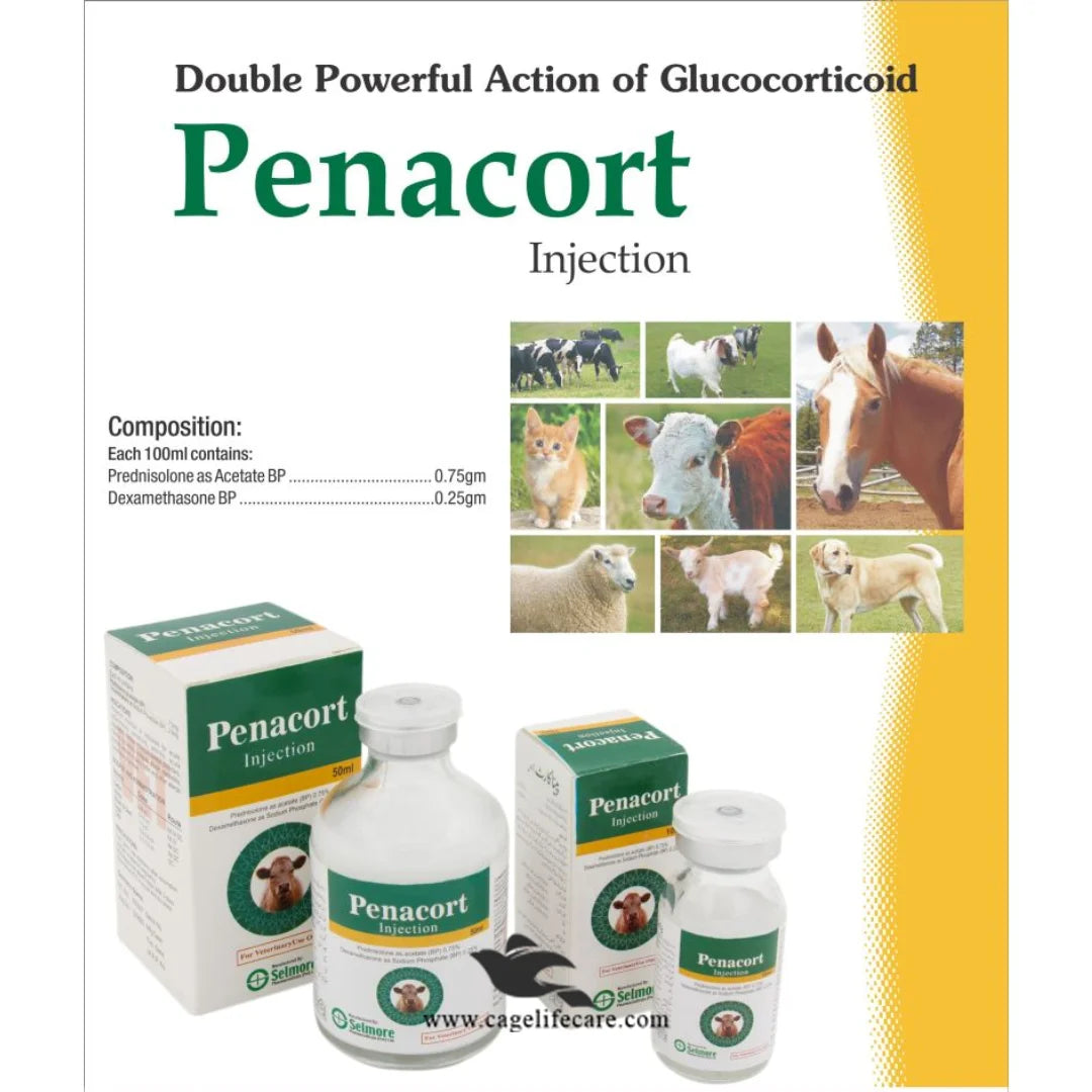 Veterinary Penacort Injection pack 10ml, 30ml, 50ml