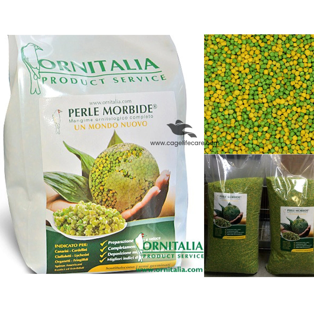 Perle Morbide – Premium Bird Food Alternative to Germinated Seeds