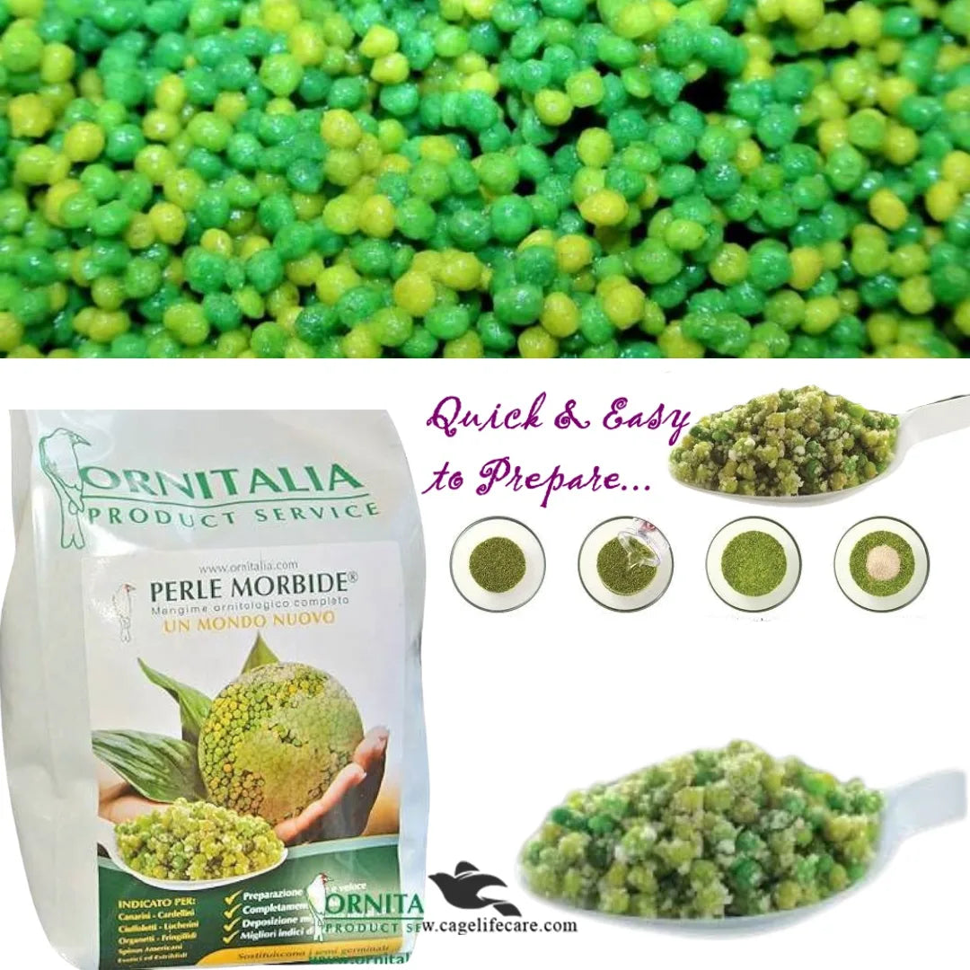 Perle Morbide – Premium Bird Food Alternative to Germinated Seeds