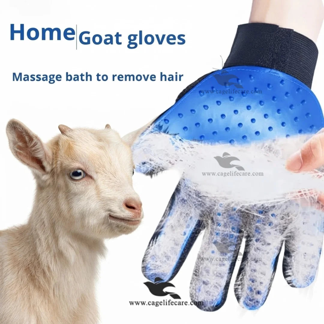 Animal grooming glove for sheep goats cattle and horses