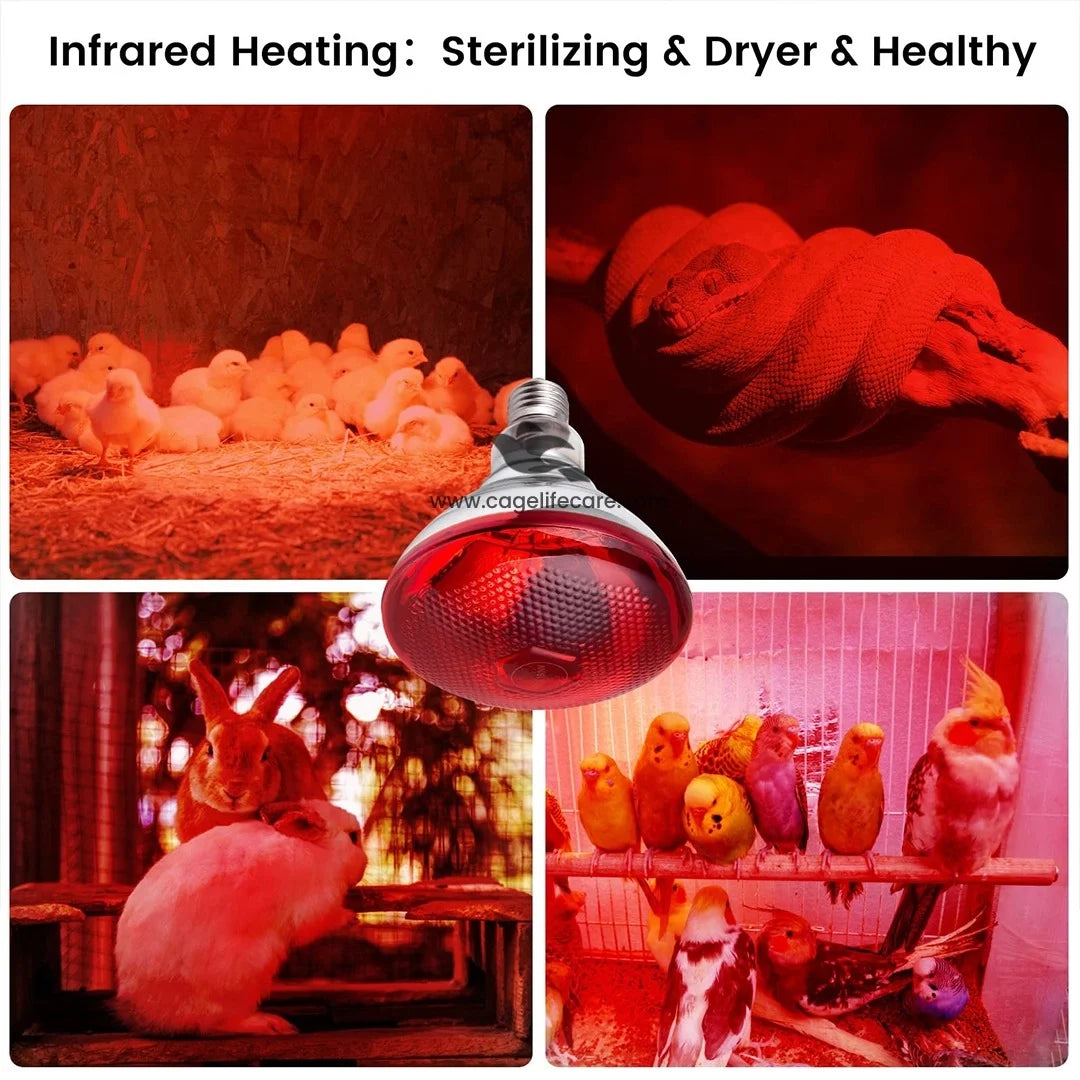 Pet Infrared Waterproof Heating Light Bulb - Fast Recovery for snakes birds reptiles animals 