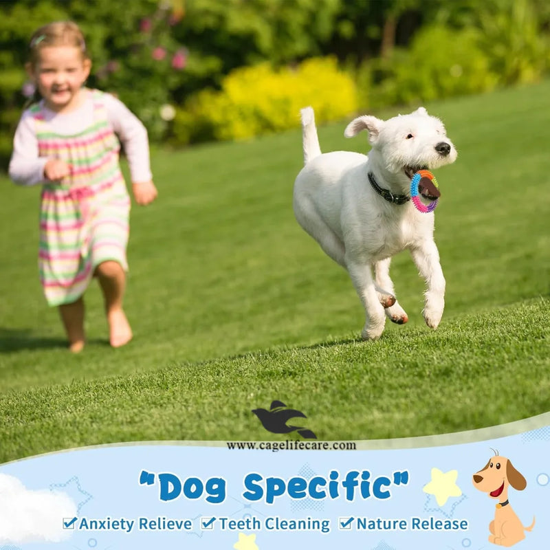 Pet Ring Rainbow Spike Teether – Durable Chew Toy for Puppies & Dogs