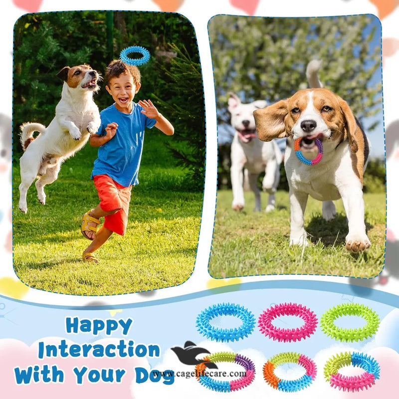 Pet Ring Rainbow Spike Teether – Durable Chew Toy for Puppies & Dogs