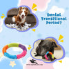Pet Ring Rainbow Spike Teether – Durable Chew Toy for Puppies & Dogs