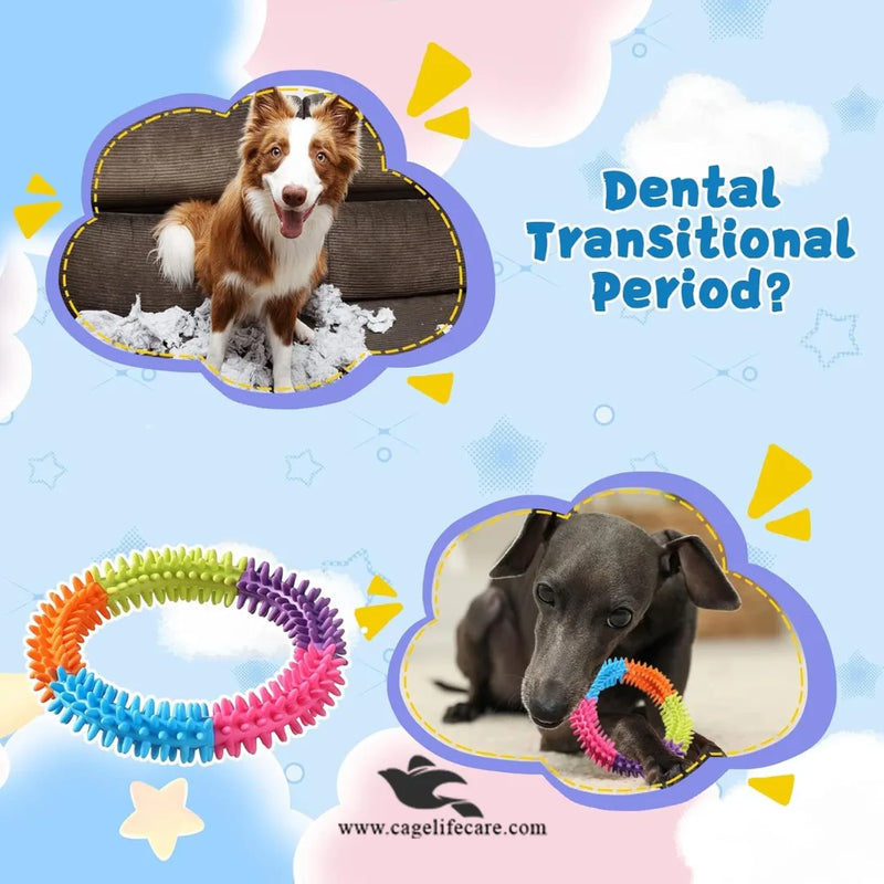 Pet Ring Rainbow Spike Teether – Durable Chew Toy for Puppies & Dogs