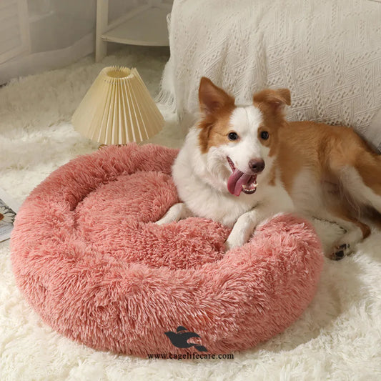 Cozy round puppy bed for small dogs and cats