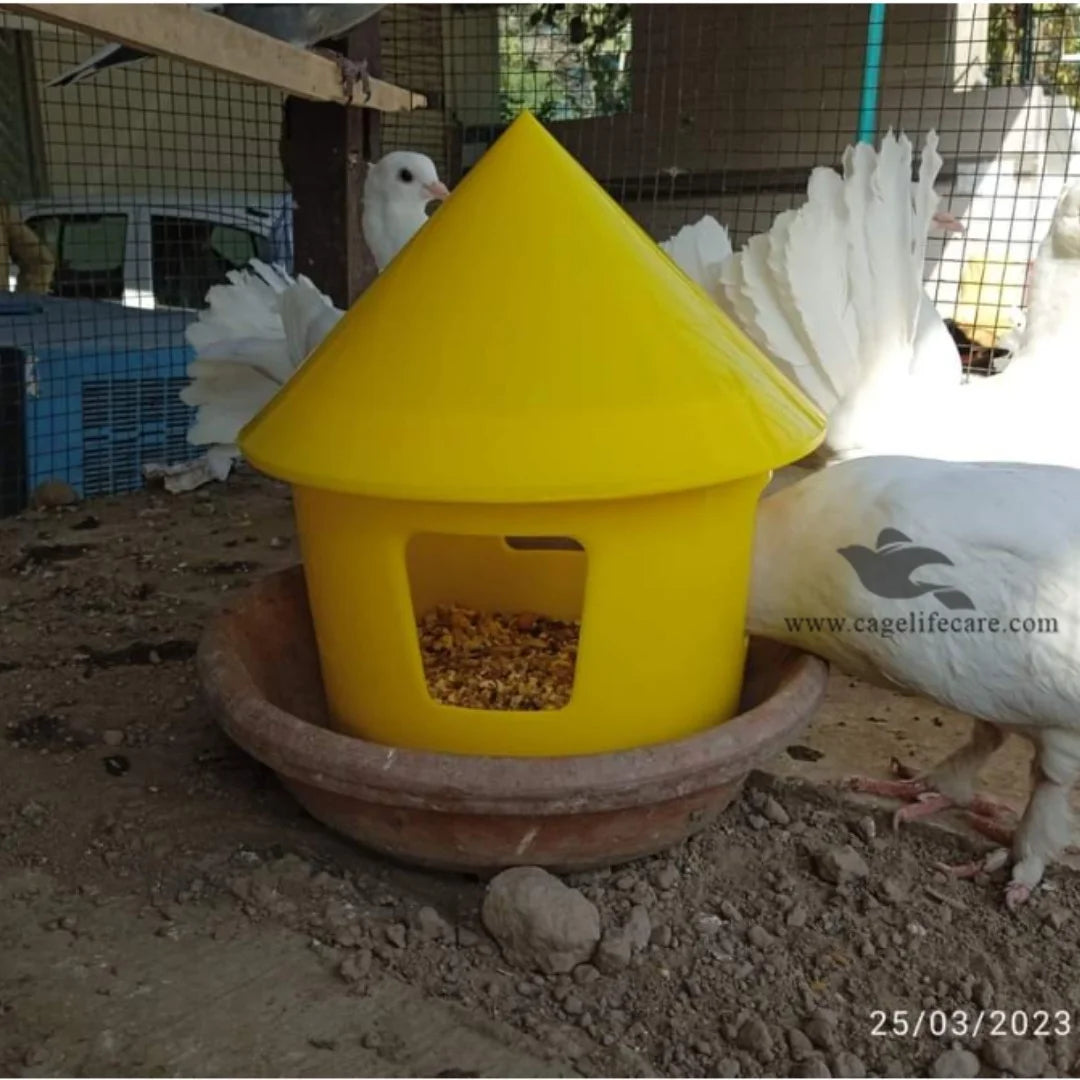 Pigeon Grit & Seed Box - 800ml Multi-Purpose Feeder