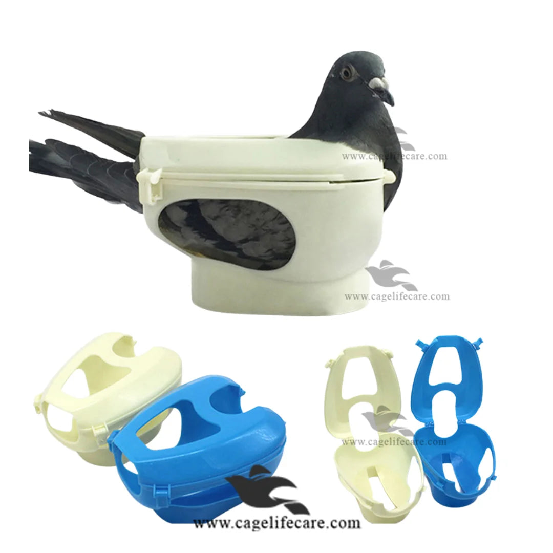 Imported high quality plastic pigeon holder for feeding and medicine