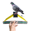 Pigeon Modular Perch Stand – Space Saving Loft Perch for Racing & Breeding Pigeons