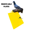 Pigeon Modular Perch Stand – Space Saving Loft Perch for Racing & Breeding Pigeons