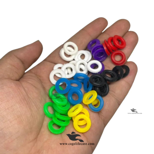 Pigeon chick identification rings