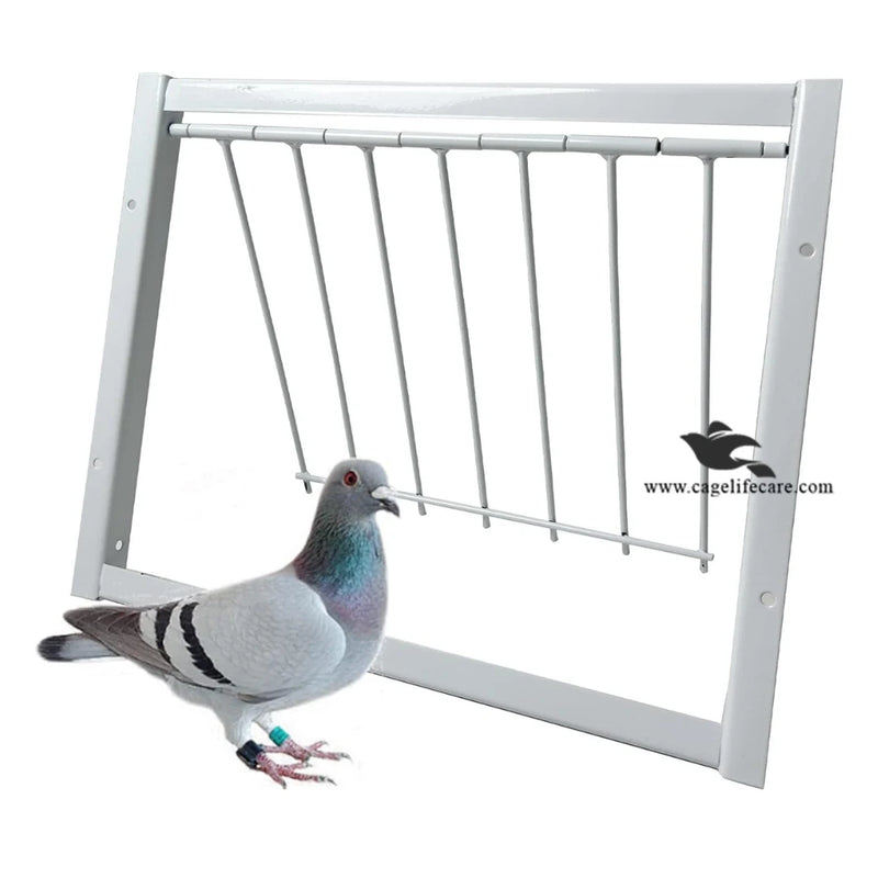 Pigeon Trap Loft Door with Steel Frame