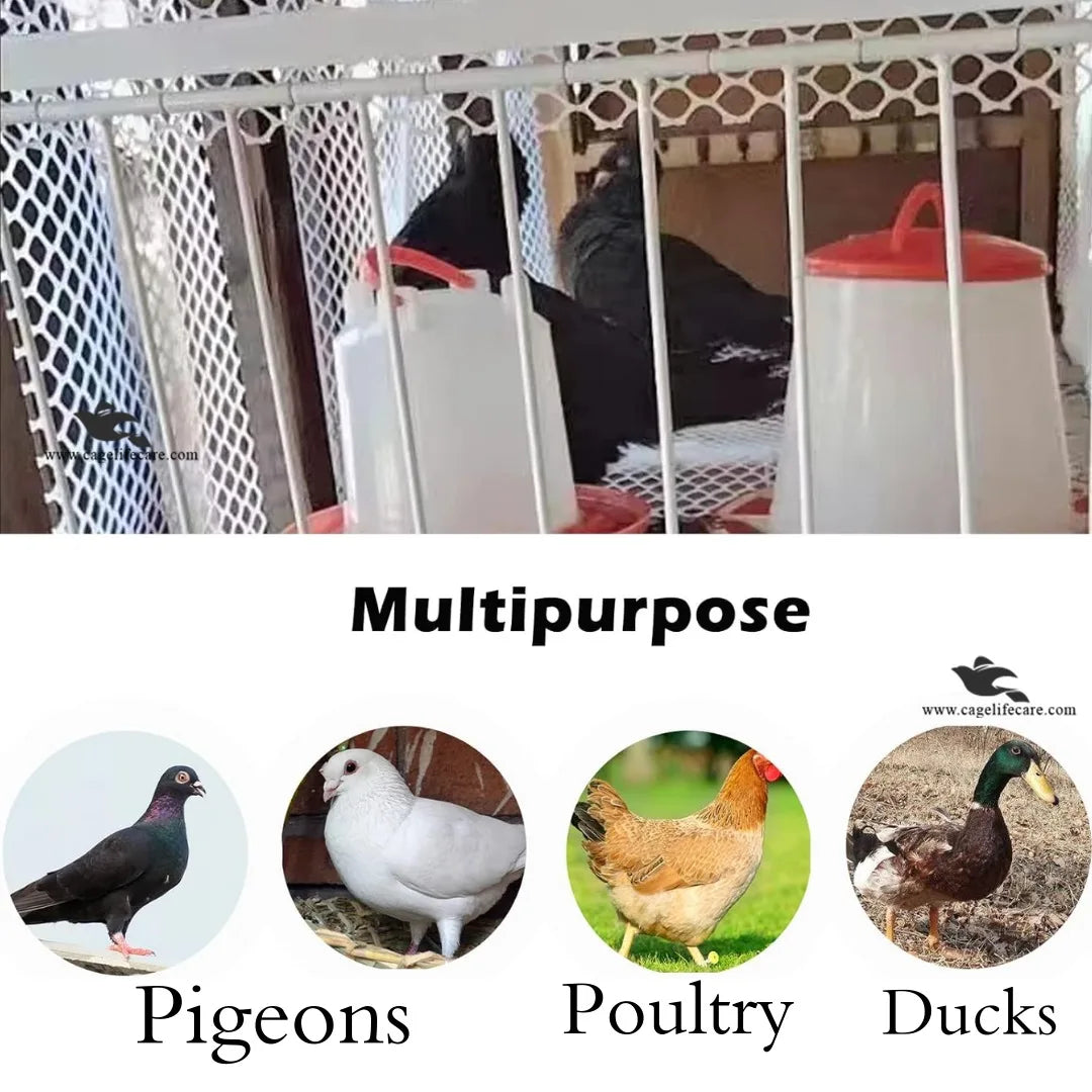 Pigeon Trap Loft Door with Steel Frame - best for farmer ground birds trap door for pigeons, poultry, ducks