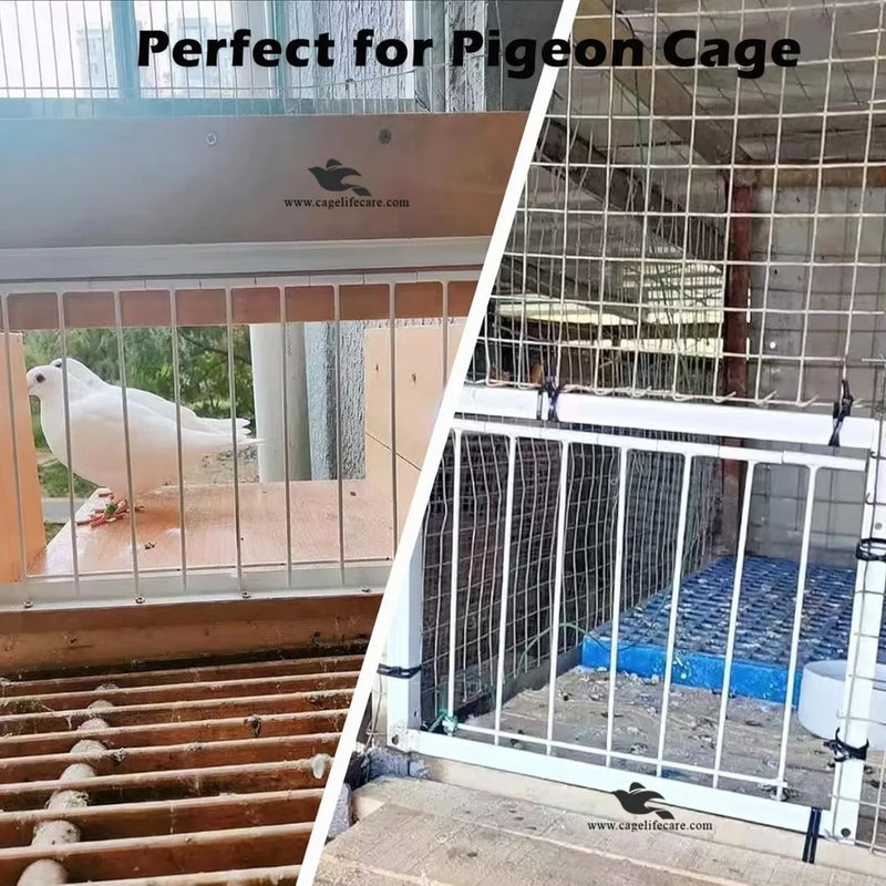 Pigeon Trap Loft Door with Steel Frame