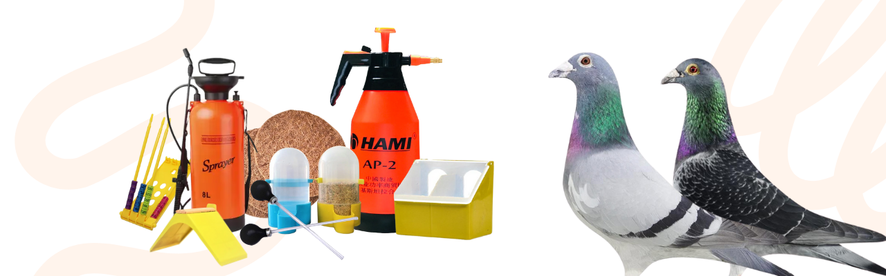 Pigeons Accessories