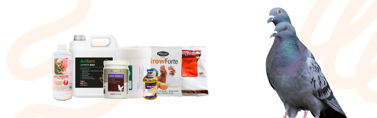 Pigeons Electrolytes & Boosters