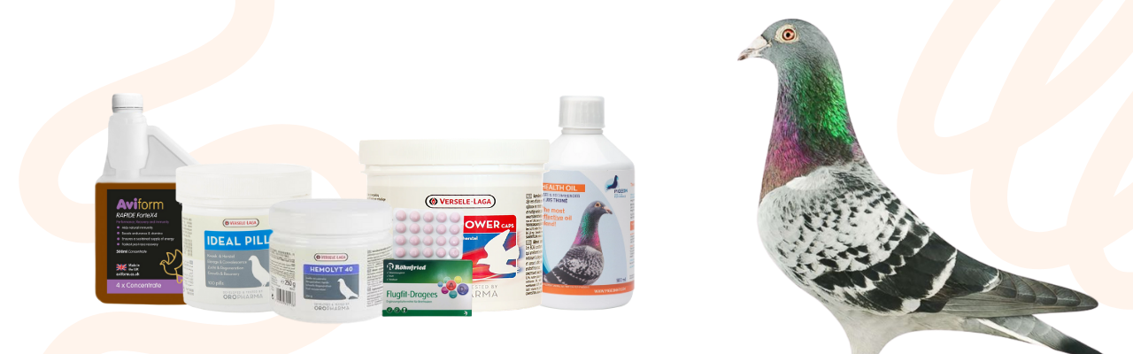 Pigeons Racing Products