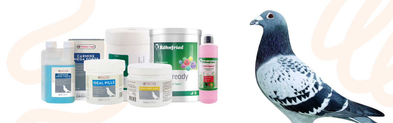 Pigeons Recovery Products