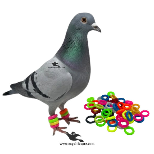 Pigeons plastic multi color rings 50 pcs