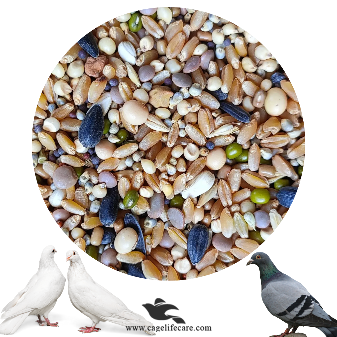 Pigeons Seeds Mix Cage Life Care pigeons-seeds-mix-cage-life-care