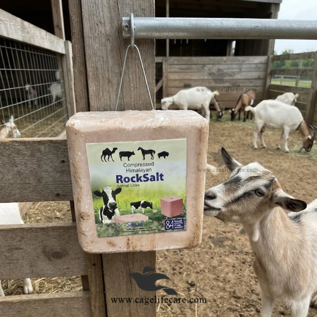 Livestock mineral salt lick block for goats and sheep