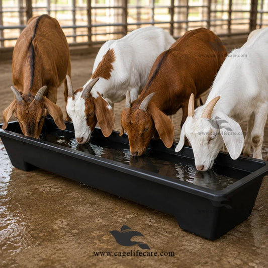 Unbreakable Plastic Feeding Bucket for Livestock