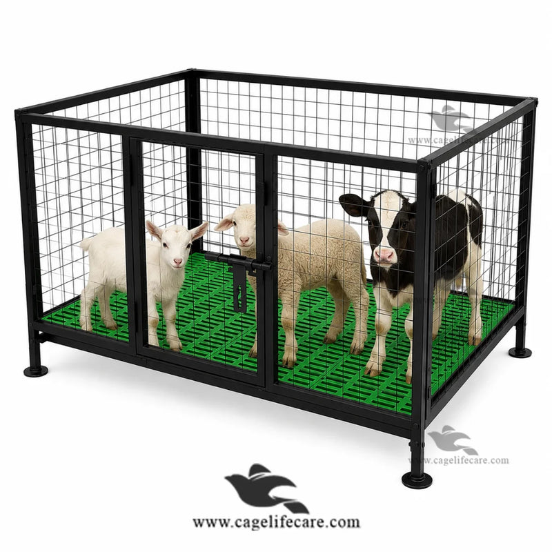 Plastic Flooring Cage Folding Iron — For Goat Kids, Lambs and Calves