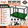 Plastic Flooring Cage Folding Iron — For Goat Kids, Lambs and Calves