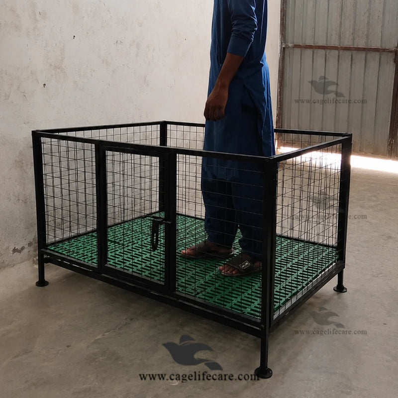 Plastic Flooring Cage Folding Iron — For Goat Kids, Lambs and Calves