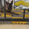 Animal Plastic Flooring Panels – 1x1 Square Feet, Hygienic & Interlocking for Animals and Birds