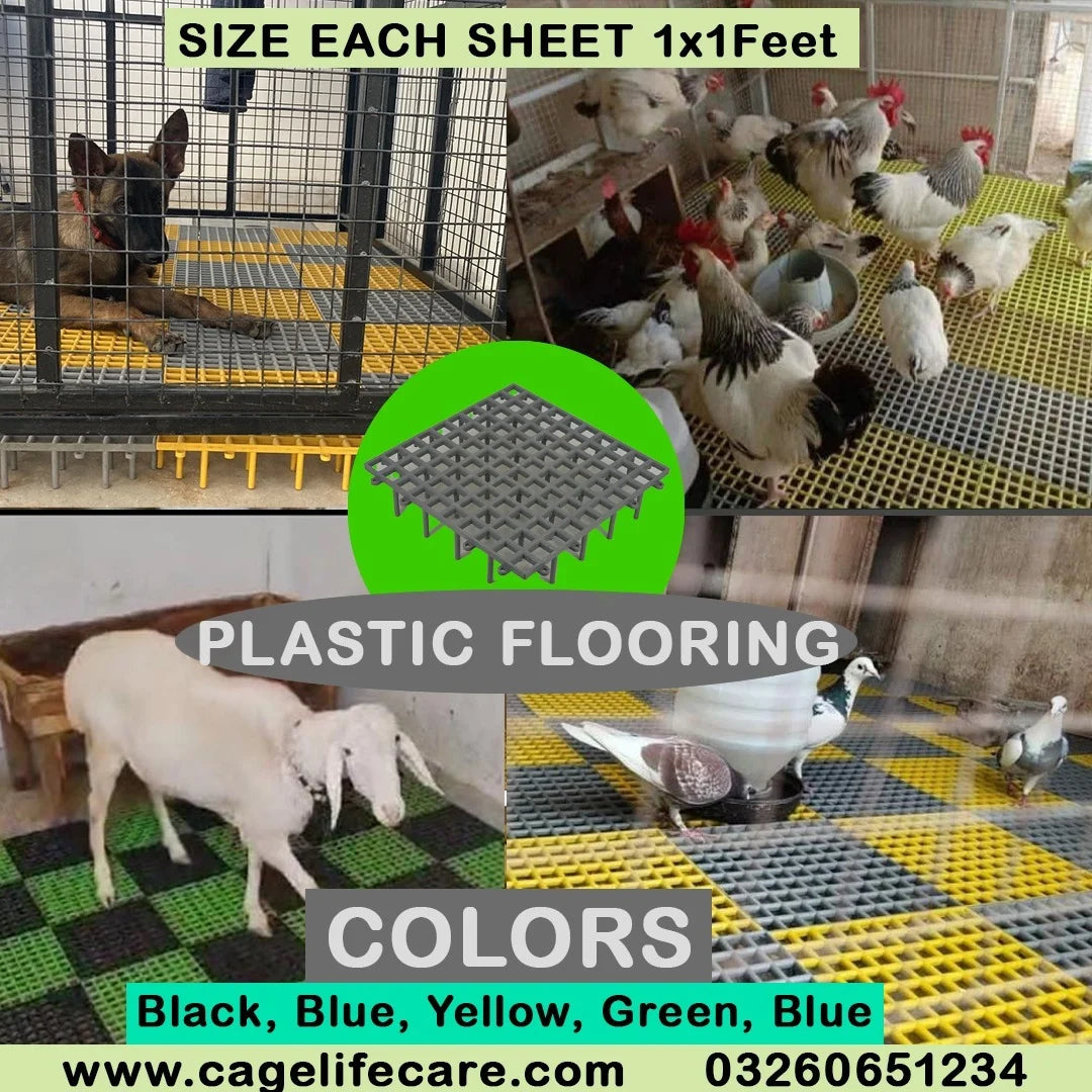 Plastic Flooring Panels – 1x1 Square Feet, Hygienic & Interlocking for Animals and Birds - plastic flooring panels blue green black yellow grey red 