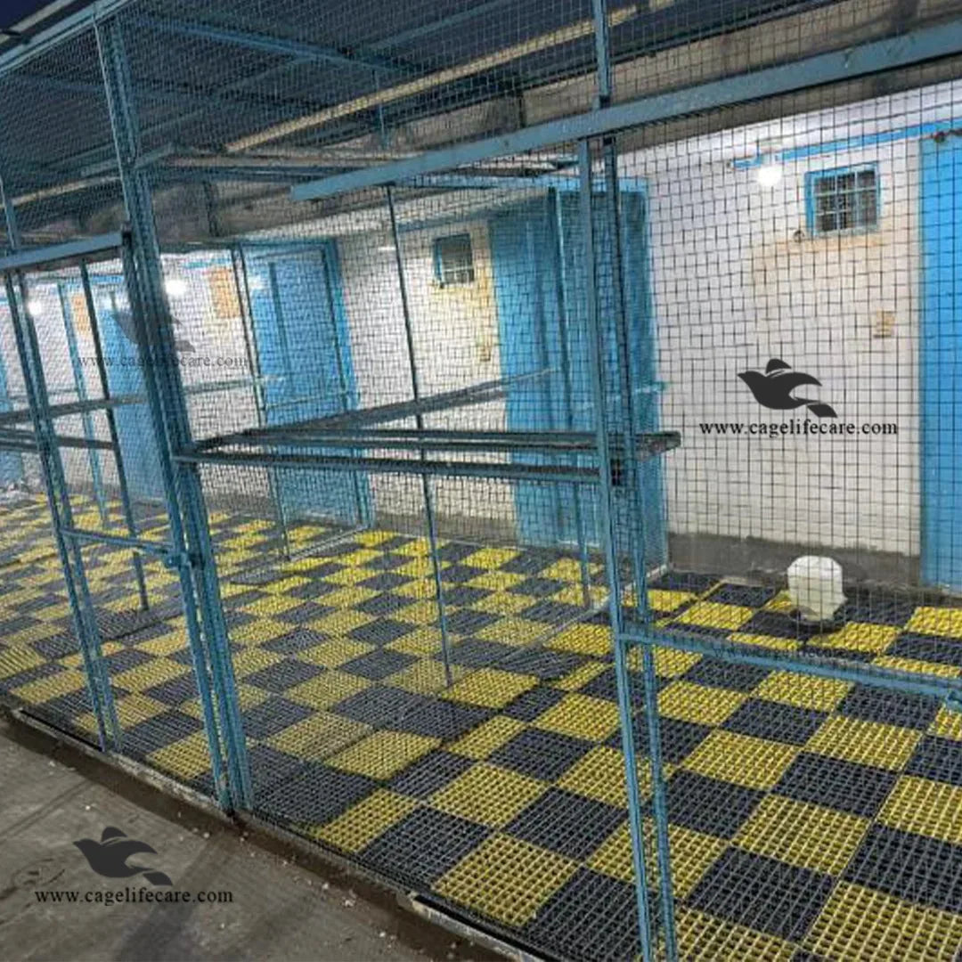 Plastic Flooring Panels – 1x1 Square Feet, Hygienic & Interlocking for Animals and Birds Poultry Framer 
