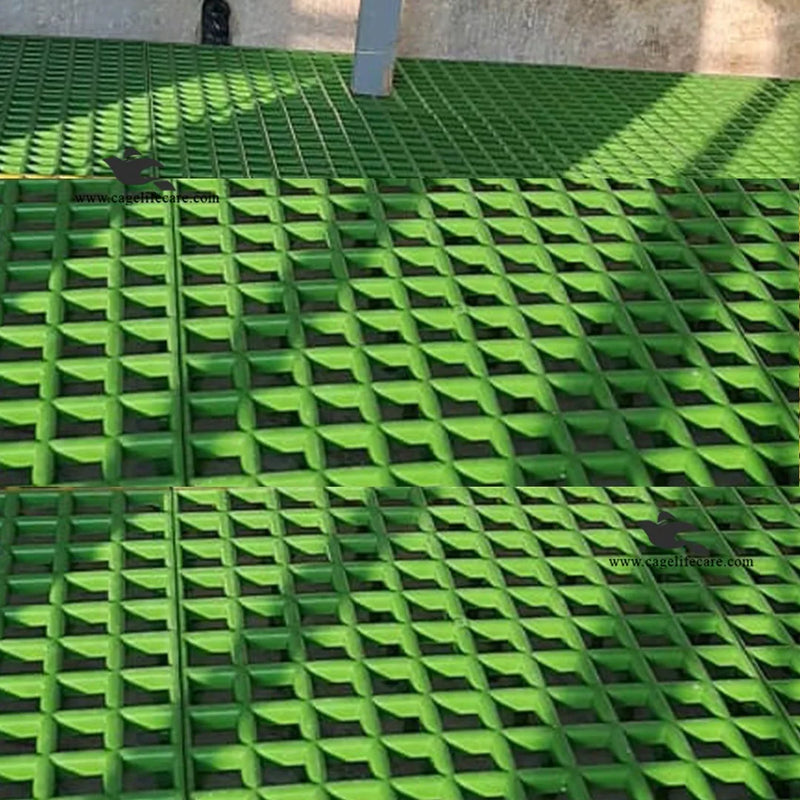 Animal Plastic Flooring Panels – 1x1 Square Feet, Hygienic & Interlocking for Animals and Birds