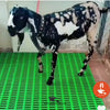Plastic Flooring 1x1 Sqft Pannel 400kg Load - For Goats, Sheep & Livestock