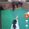 Plastic Flooring 1x1 Sqft Pannel 400kg Load - For Goats, Sheep & Livestock