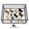 Portable Folding Goat Boundary — Heavy Duty Iron Pen for Goats, Sheep and Calves
