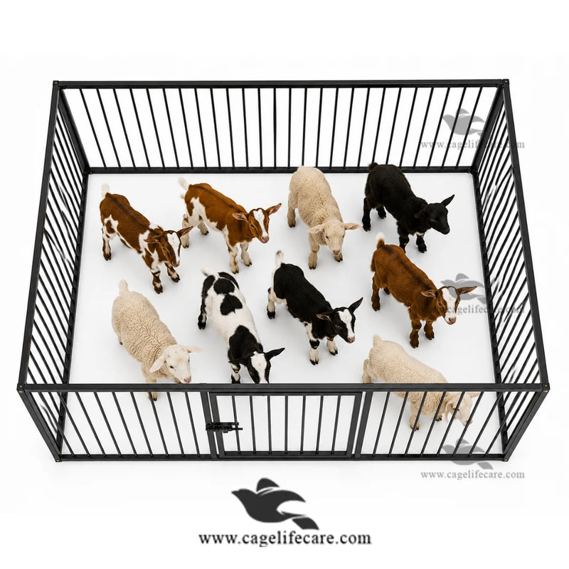 Portable Folding Goat Boundary — Heavy Duty Iron Pen for Goats, Sheep and Calves