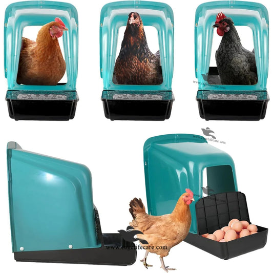 poultry farm egg laying nest box single unit