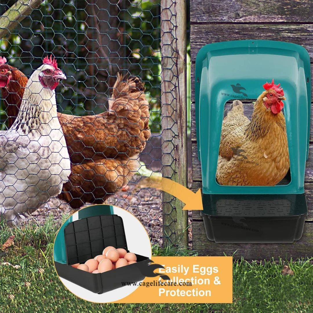 chicken egg laying box for small poultry farm setup