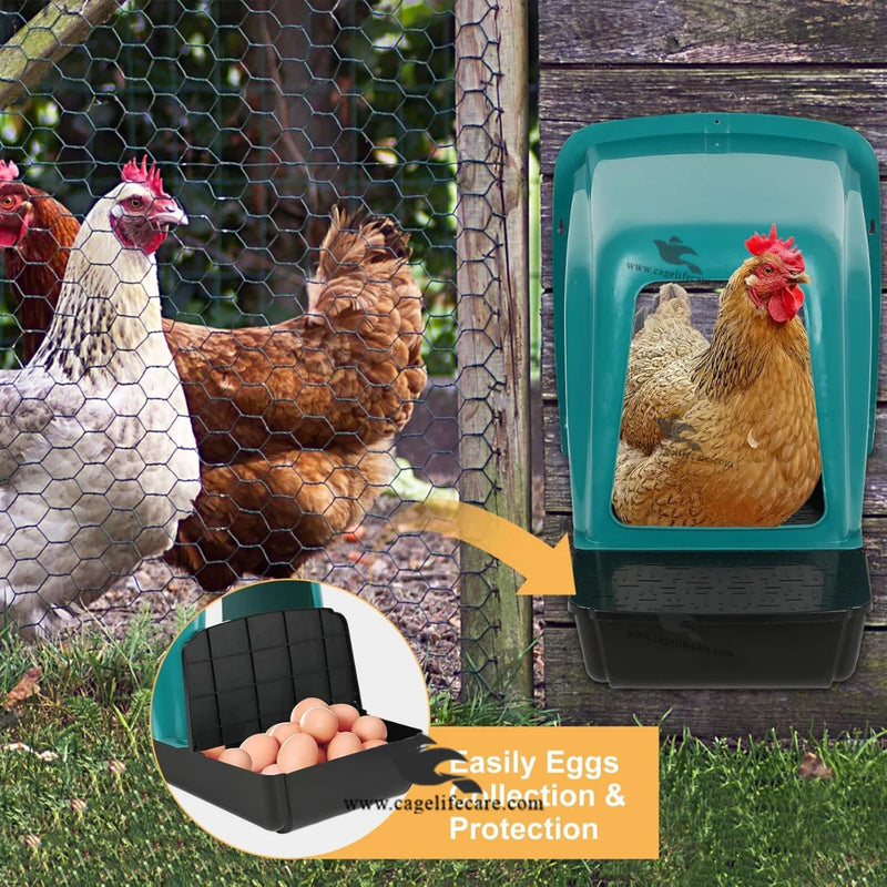 Poultry Egg Laying Nest Box — Single House Wall Mounted Chicken Nesting Box