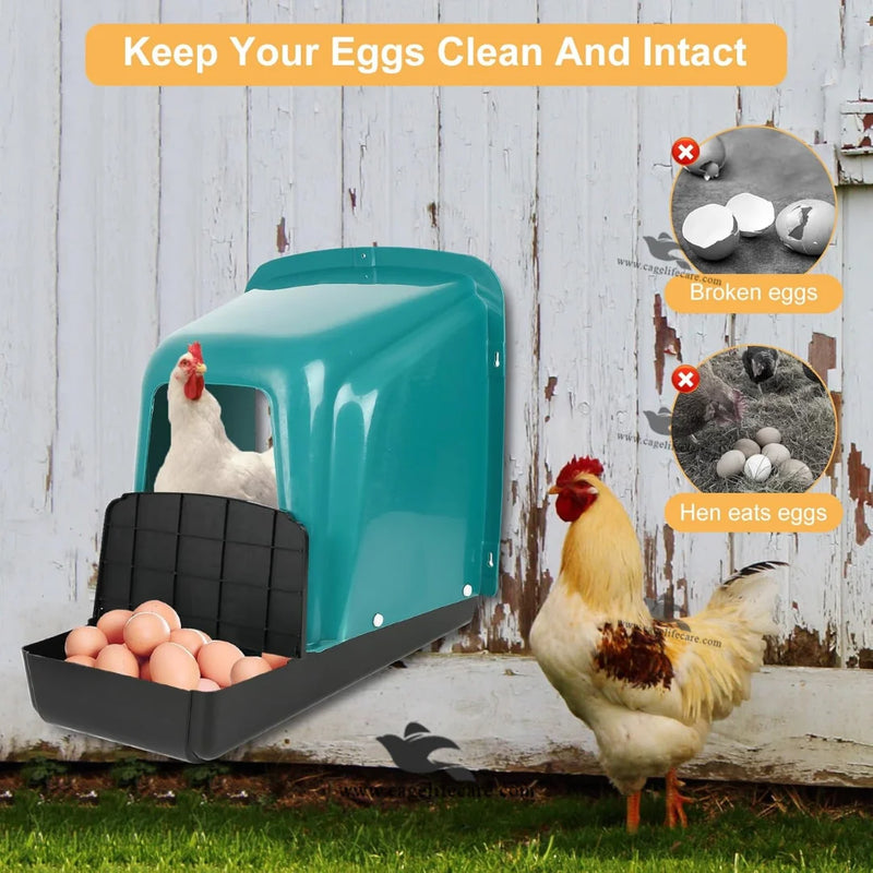 Poultry Egg Laying Nest Box — Single House Wall Mounted Chicken Nesting Box