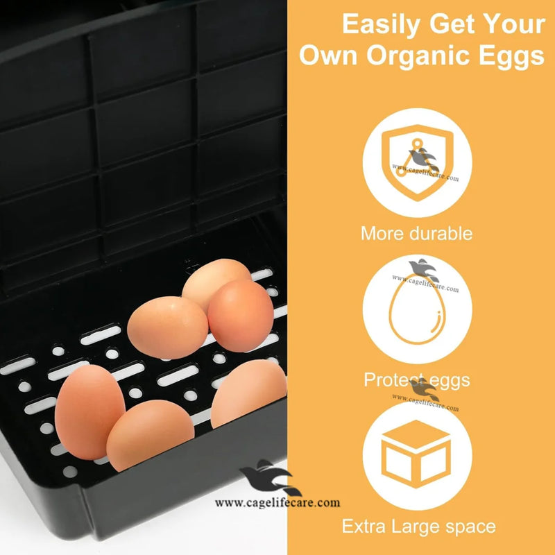 Poultry Egg Laying Nest Box — Single House Wall Mounted Chicken Nesting Box
