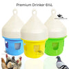 Premium 6.5L Drinker - Water Dispenser for Pigeons & Poultry