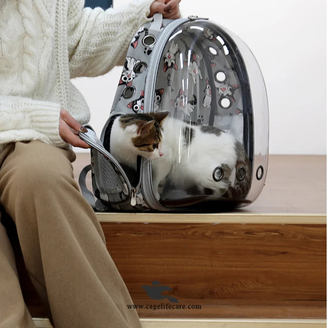 Premium Cartoons Fancy Capsule Design Pet Carry Bag – For Cats & Small Dogs (M#9)