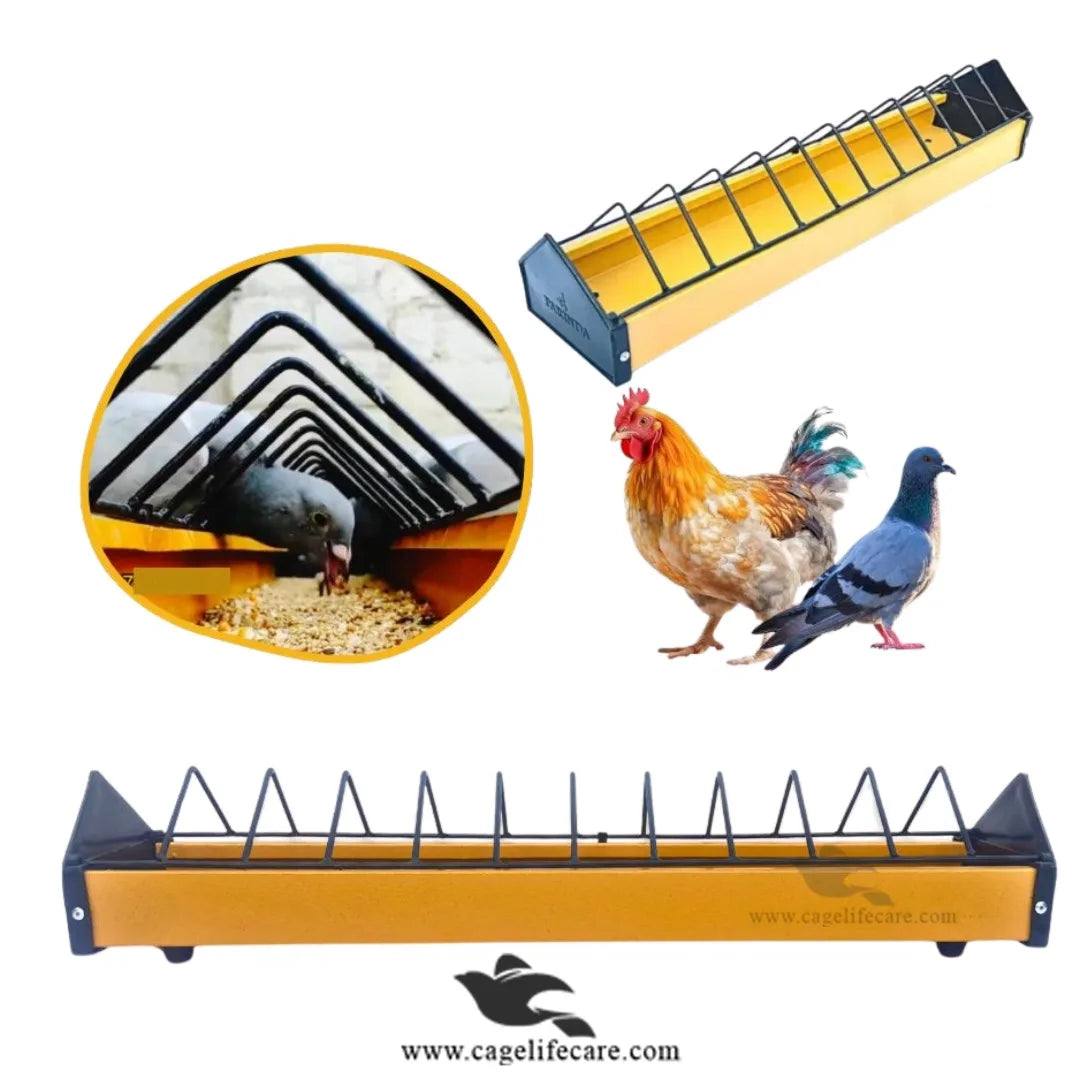 Premium Metal Feeding Tray for Poultry & Pigeons