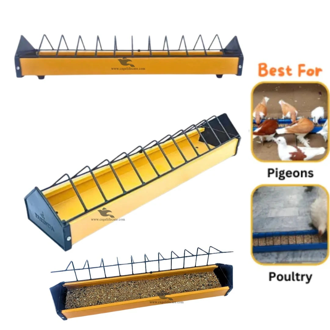 Premium Metal Feeding Tray for Poultry & Pigeons