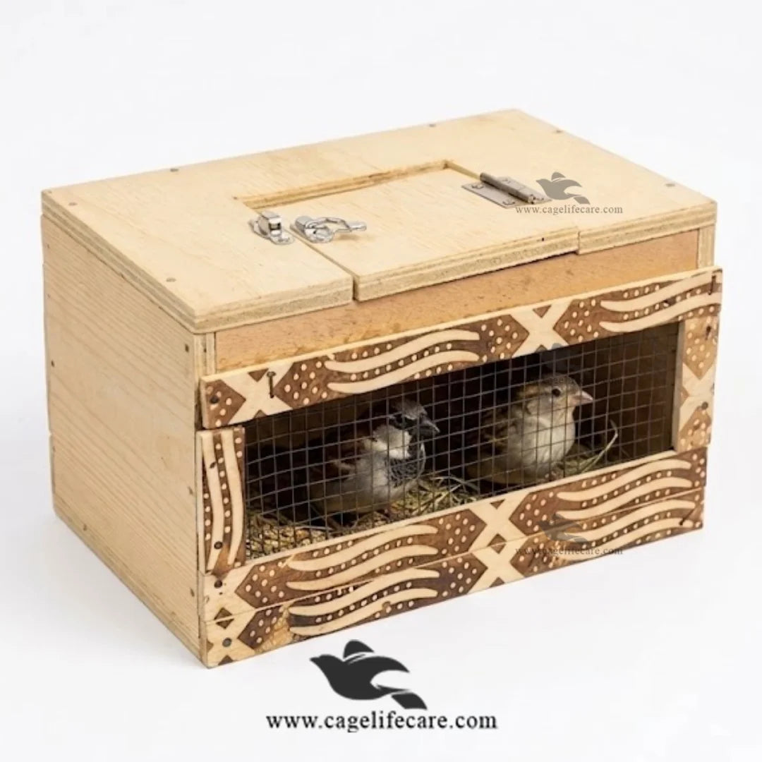 Wooden Bird Travel Box Pakistan