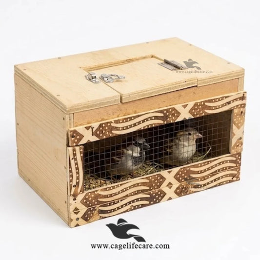 Wooden Bird Travel Box Pakistan