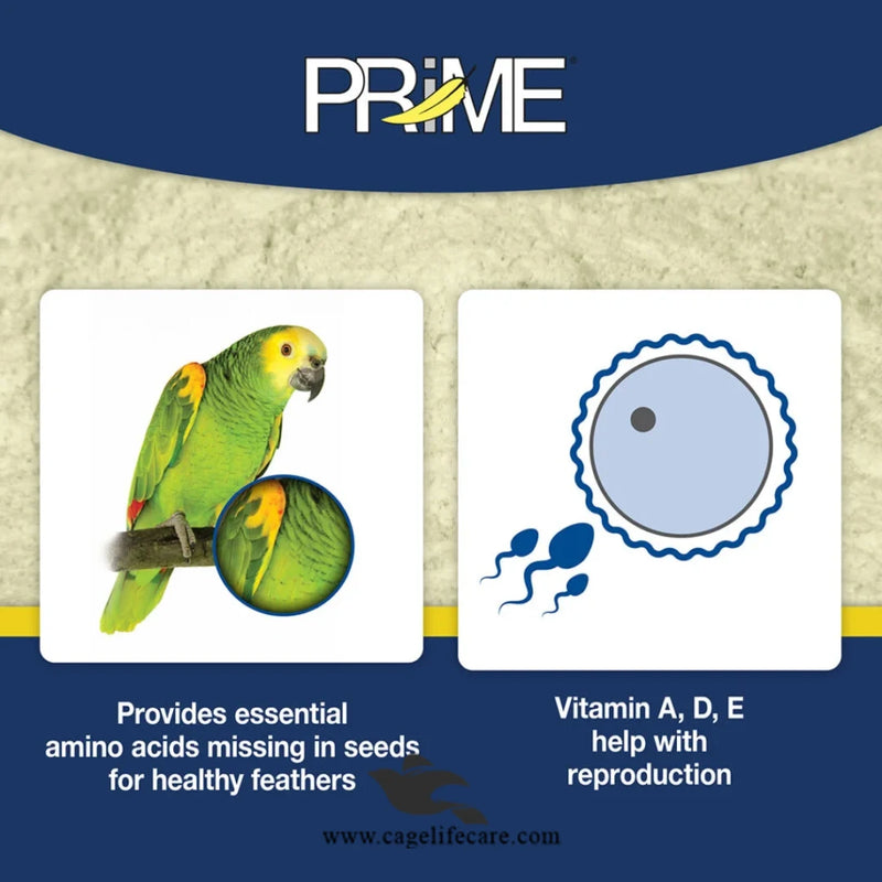 Prime Vitamin – Full Spectrum Supplement for Birds